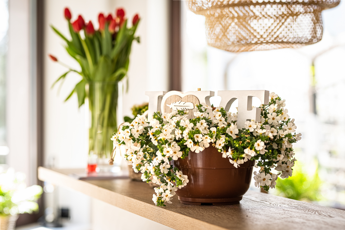 Restaruacja Czarny Kos - dekoracje kwiaty